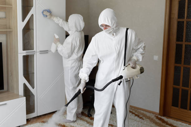 Best Toxic Mold Removal  in Homer, MI