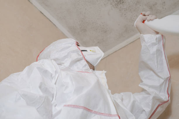 Best Mold Testing  in Homer, MI